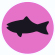 icono-salmon.jpg